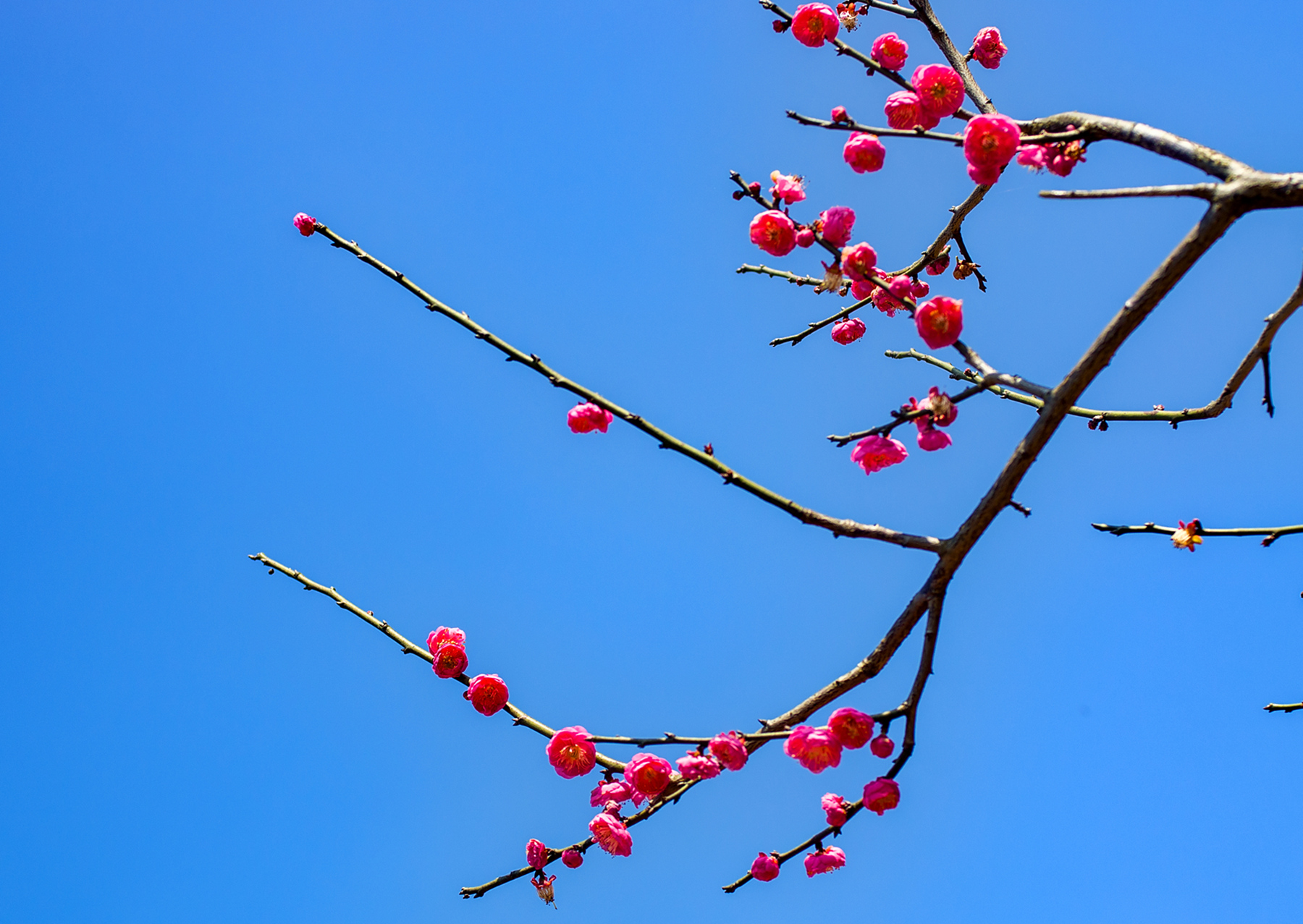 IMGP4231_dh_副本.jpg
