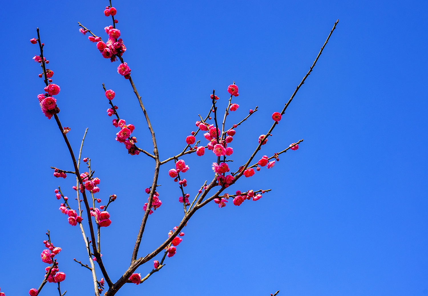 IMGP4191_dh_副本.jpg
