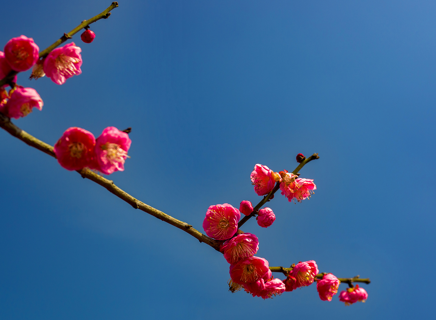 IMGP4185_dh_副本.jpg