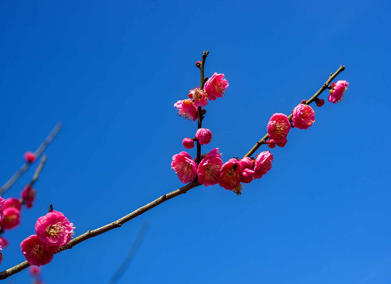 IMGP4183_dh_副本.jpg
