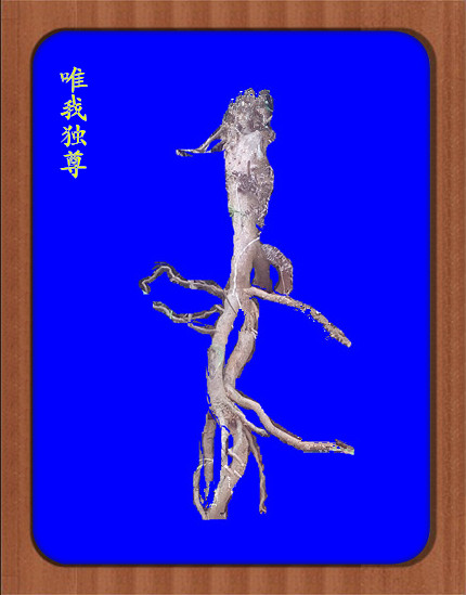IMG_20160303_105117_副本_副本.jpg
