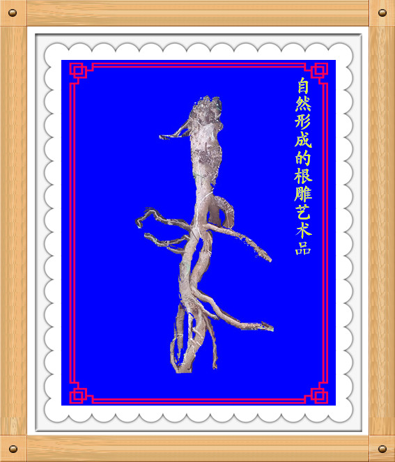 IMG_20160303_105117_副本_副本.jpg