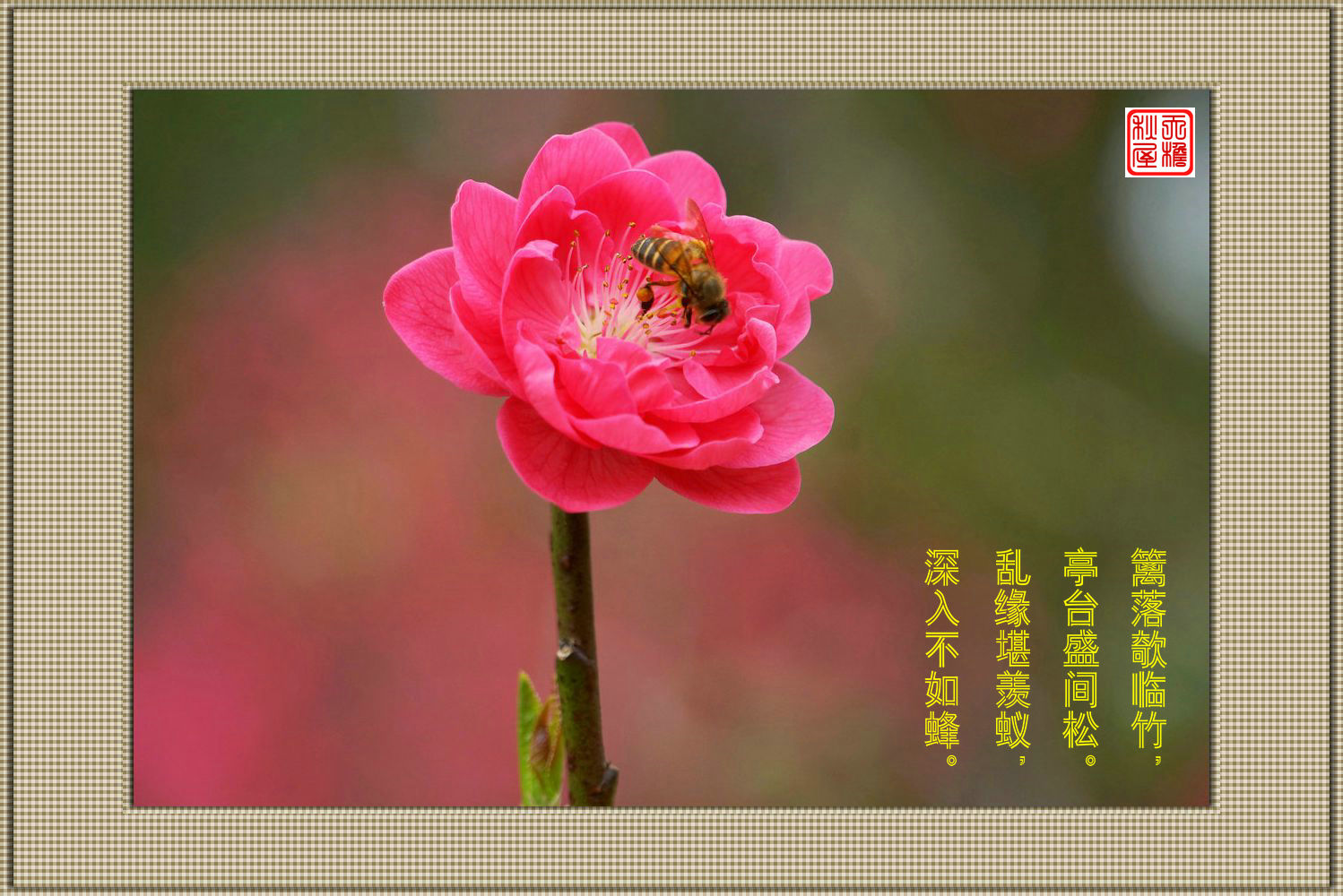 DSC02882_副本.jpg