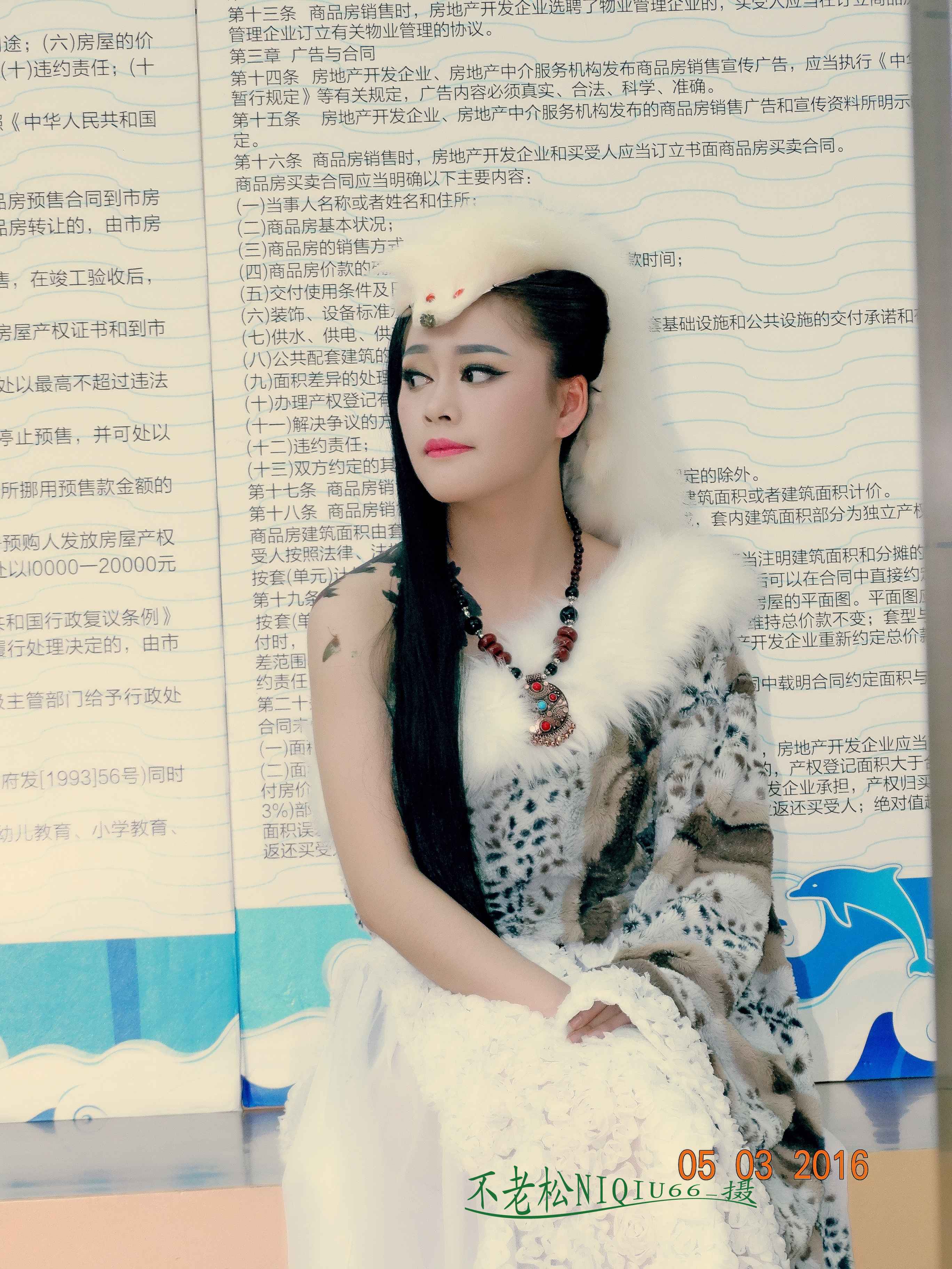 DSC04141.jpg