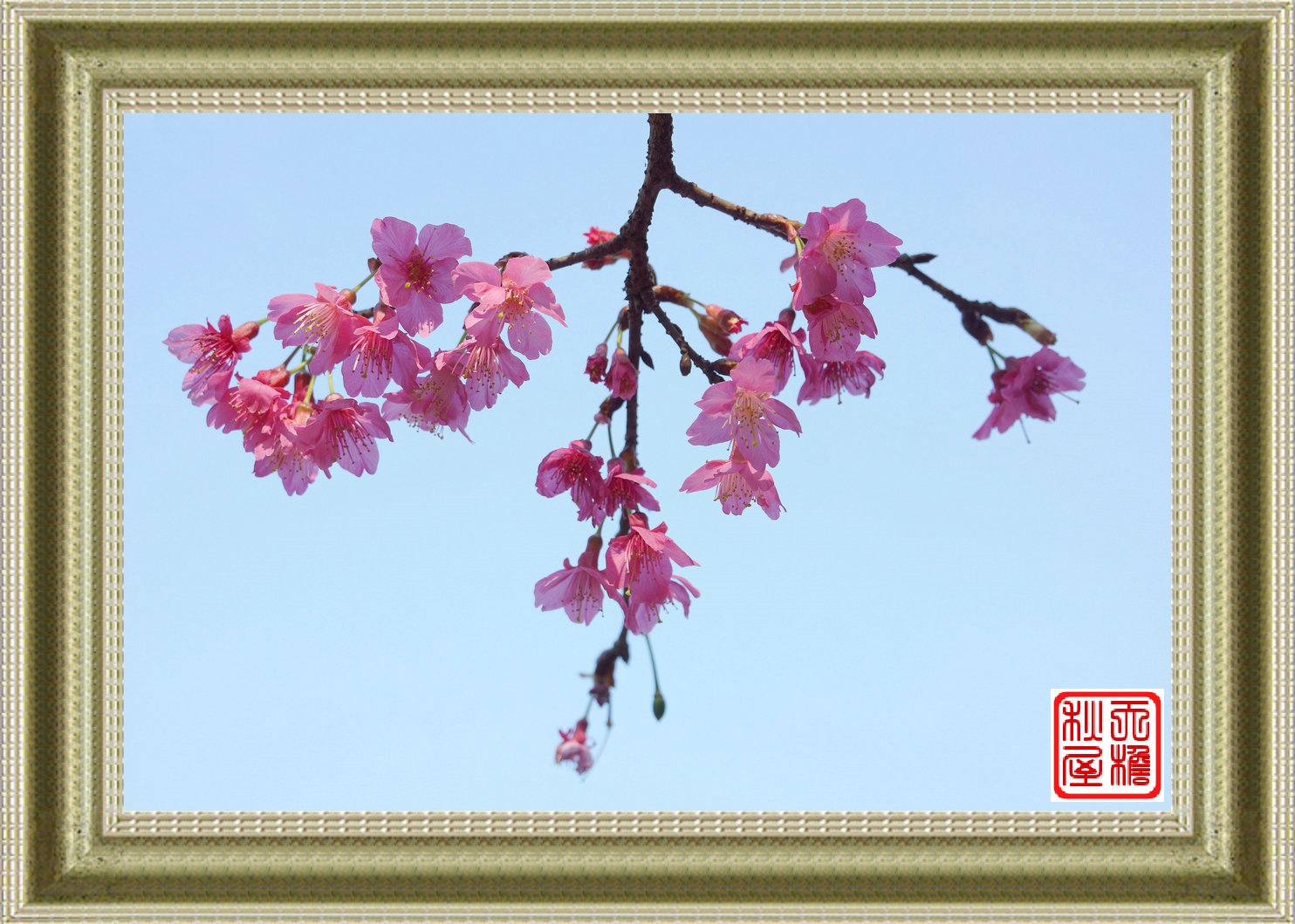 DSC01964_副本.JPG