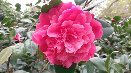 IMG_20160307_153845_副本.jpg