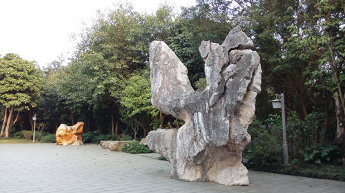 IMG_20160308_175920_副本.jpg