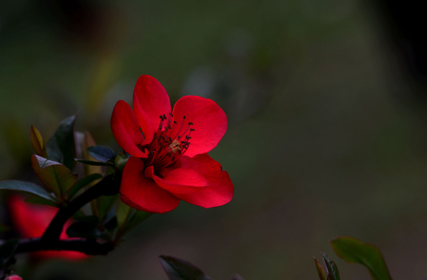 DSC_5996.JPG
