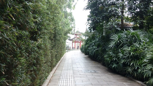 IMG_20160312_145003_副本.jpg