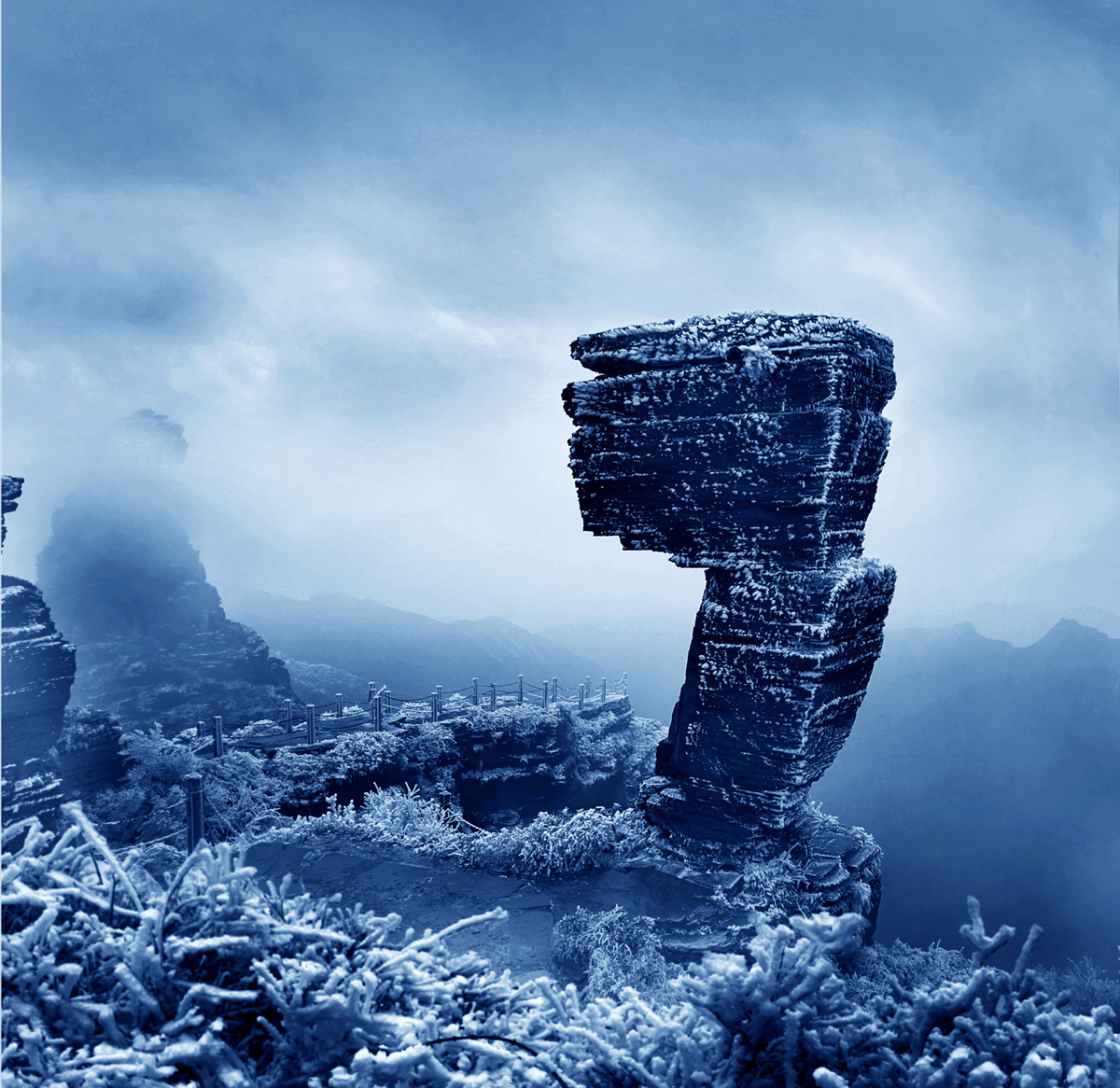 欺霜傲雪 梵净山冬景   作者：网一坪.jpg