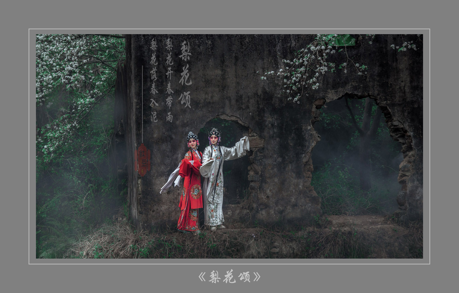 DSC_9954-1论坛.jpg