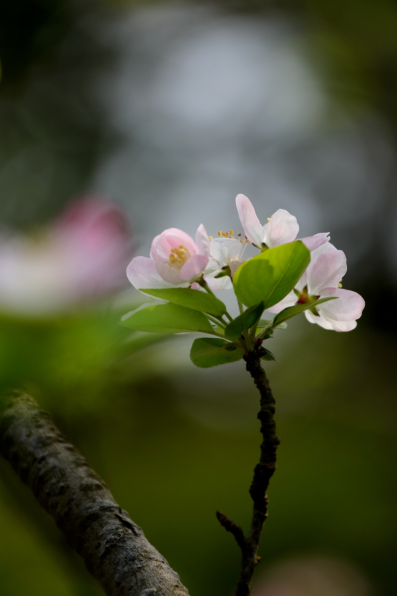 081A0807_副本.jpg