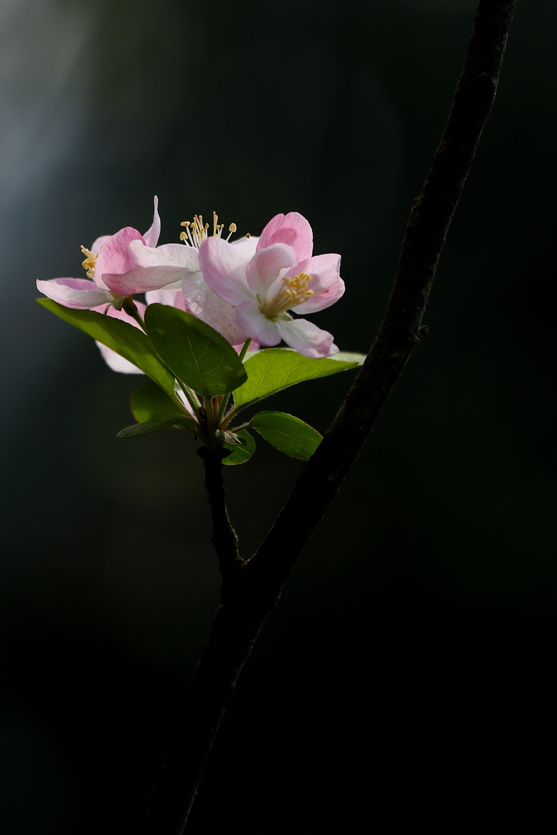 081A0829_副本.jpg
