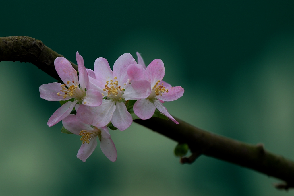 081A0749_副本.jpg