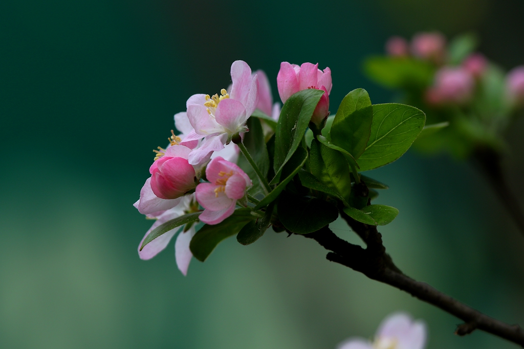 081A0751_副本.jpg
