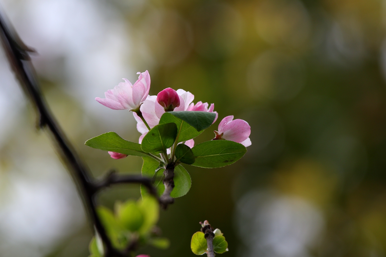 081A0735_副本.jpg