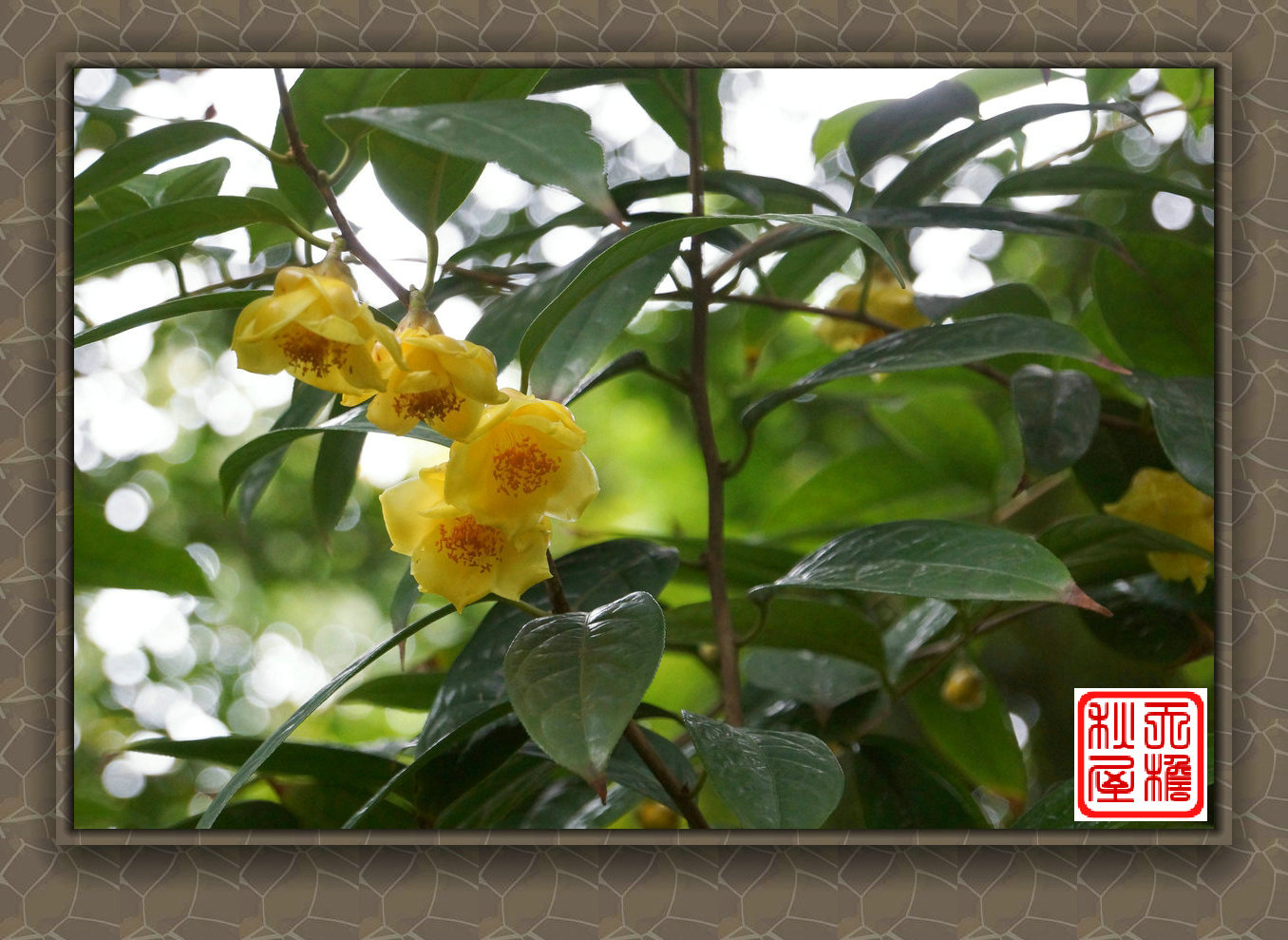 DSC02331_副本.jpg