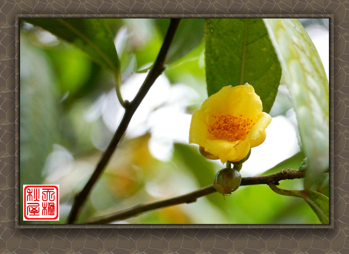 DSC02433_副本.jpg