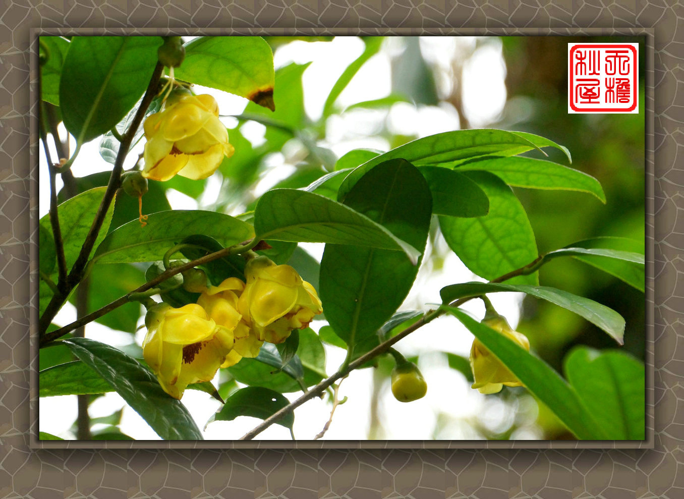 DSC02435_副本.jpg