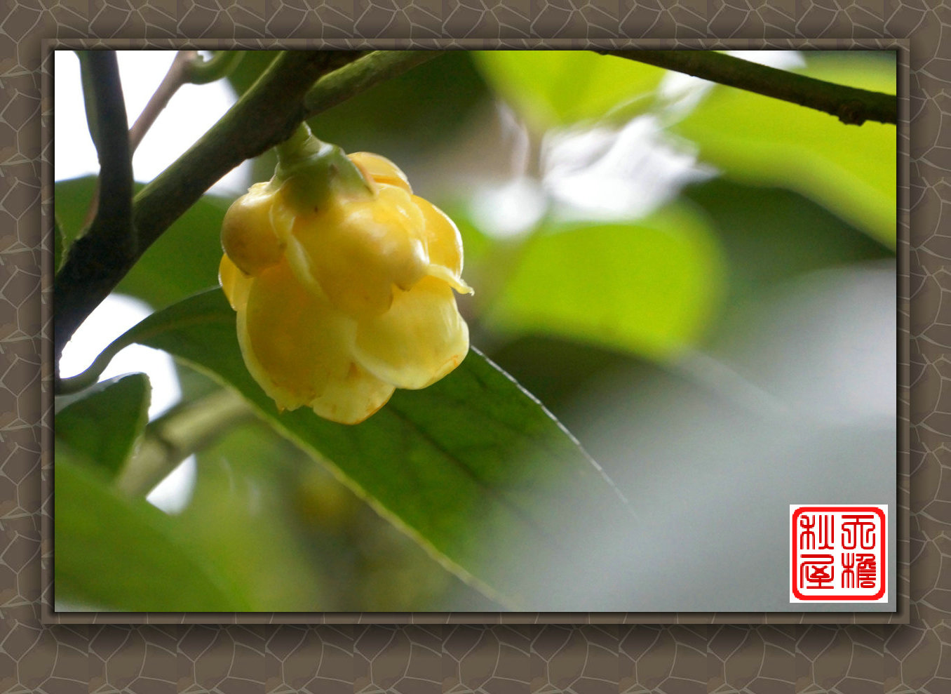 DSC02444_副本.jpg