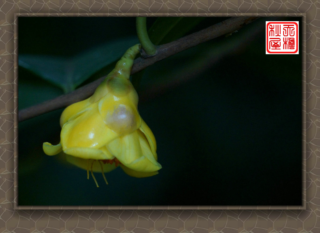 DSC02452_副本.jpg