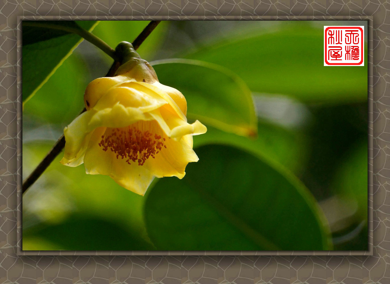 DSC02455_副本.jpg