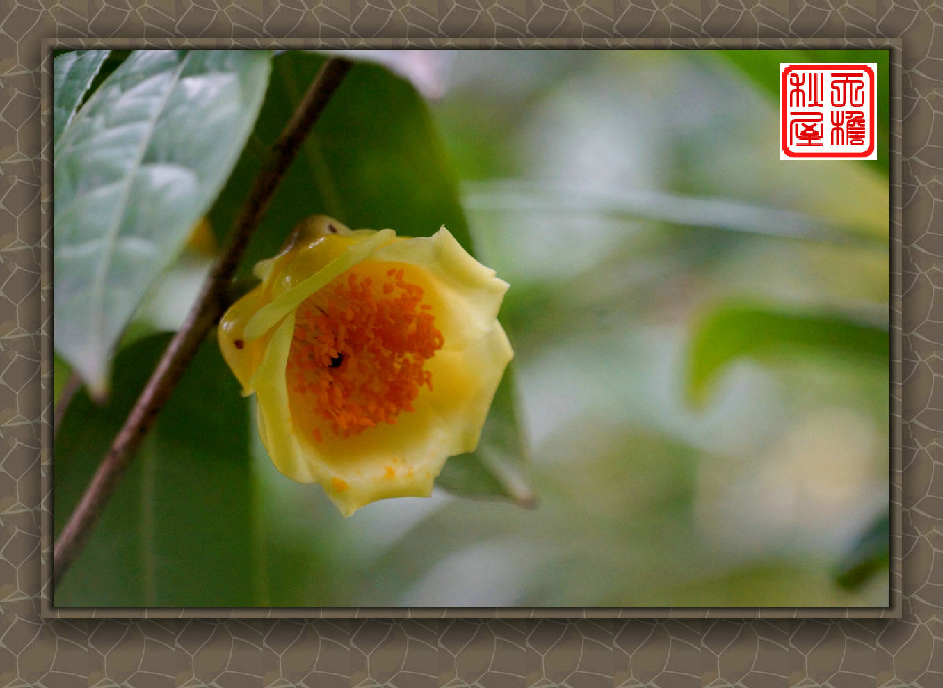 DSC02457_副本.jpg