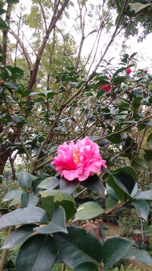 IMG_20160316_162506_副本.jpg