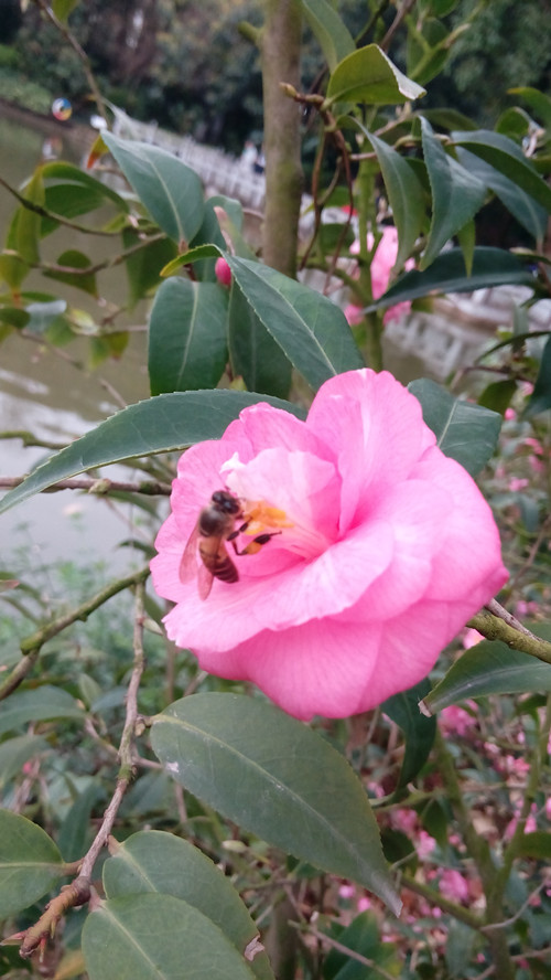 IMG_20160316_164742_副本.jpg