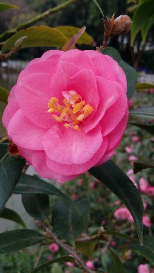 IMG_20160316_164840_副本.jpg