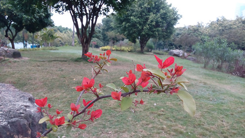 IMG_20160317_150722_副本.jpg