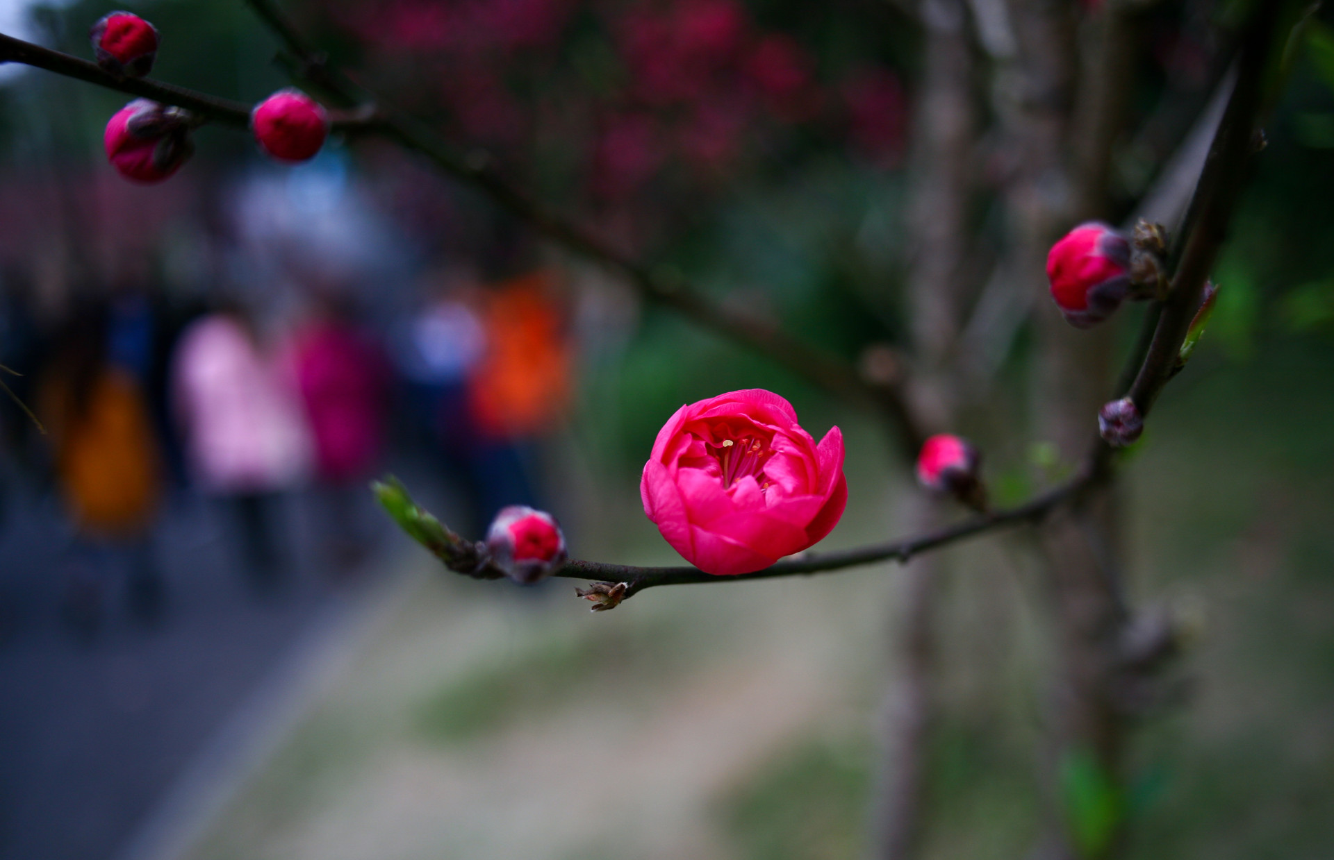 IMG_3055_副本.jpg