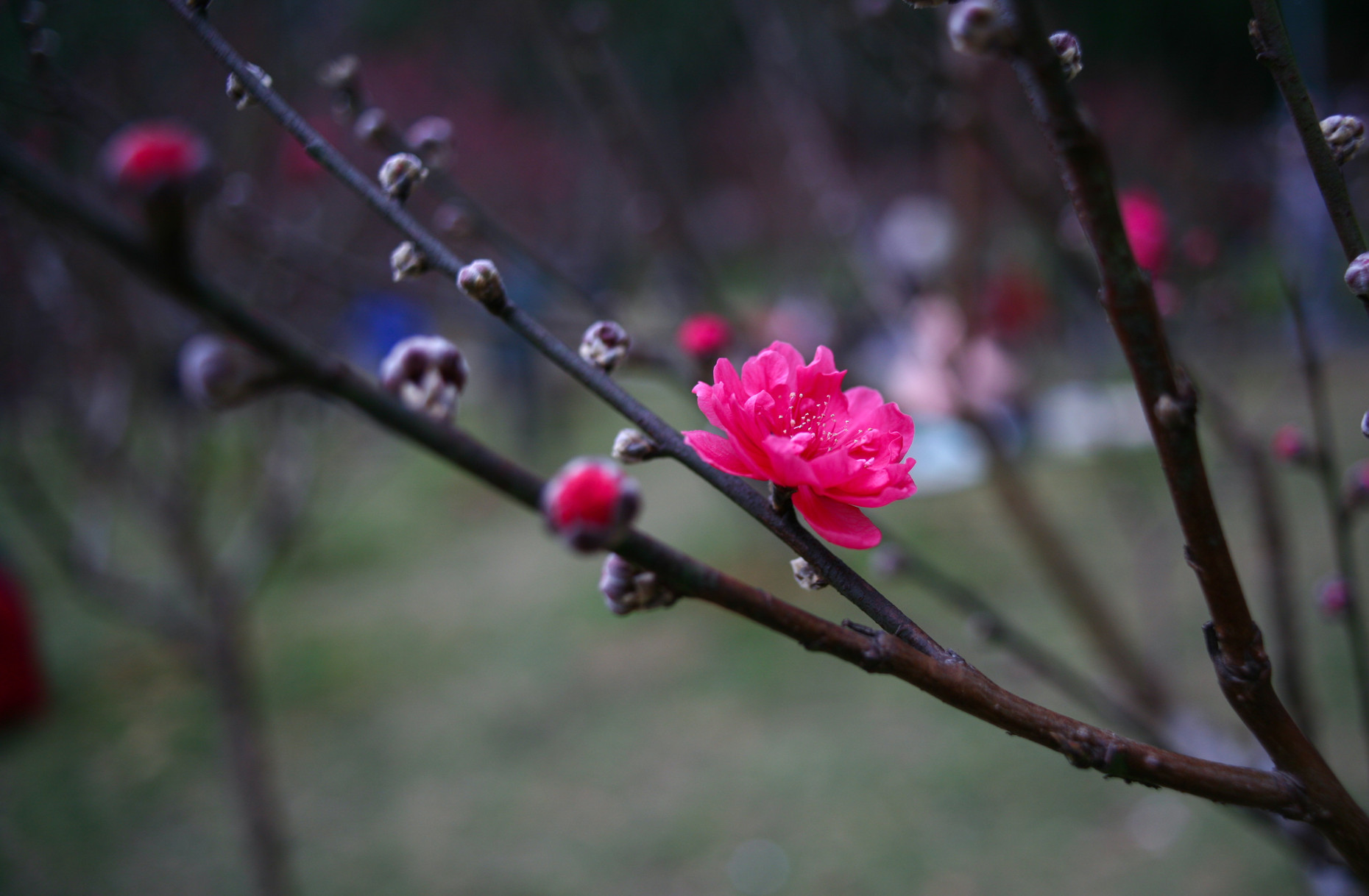 IMG_3045_副本.jpg