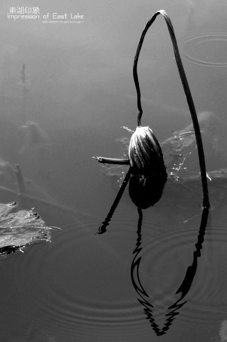 DSC06629鍓?湰-01-01鍓?湰.jpg