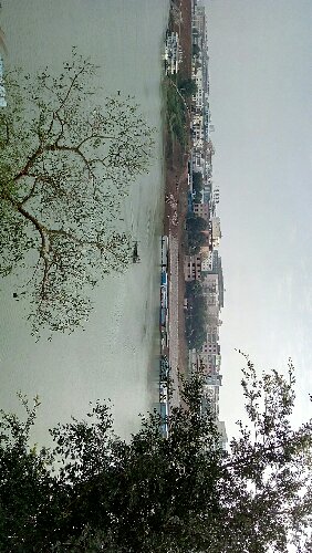 P60325-084902.jpg