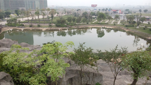 IMG_20160330_145446_副本.jpg