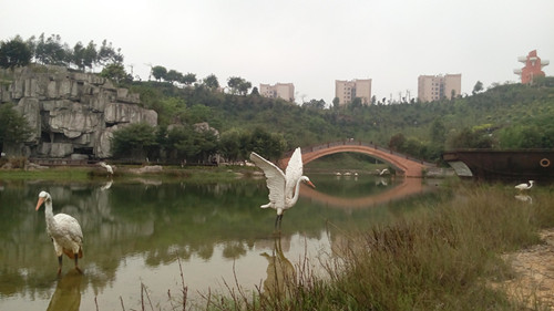 IMG_20160330_152143_副本.jpg