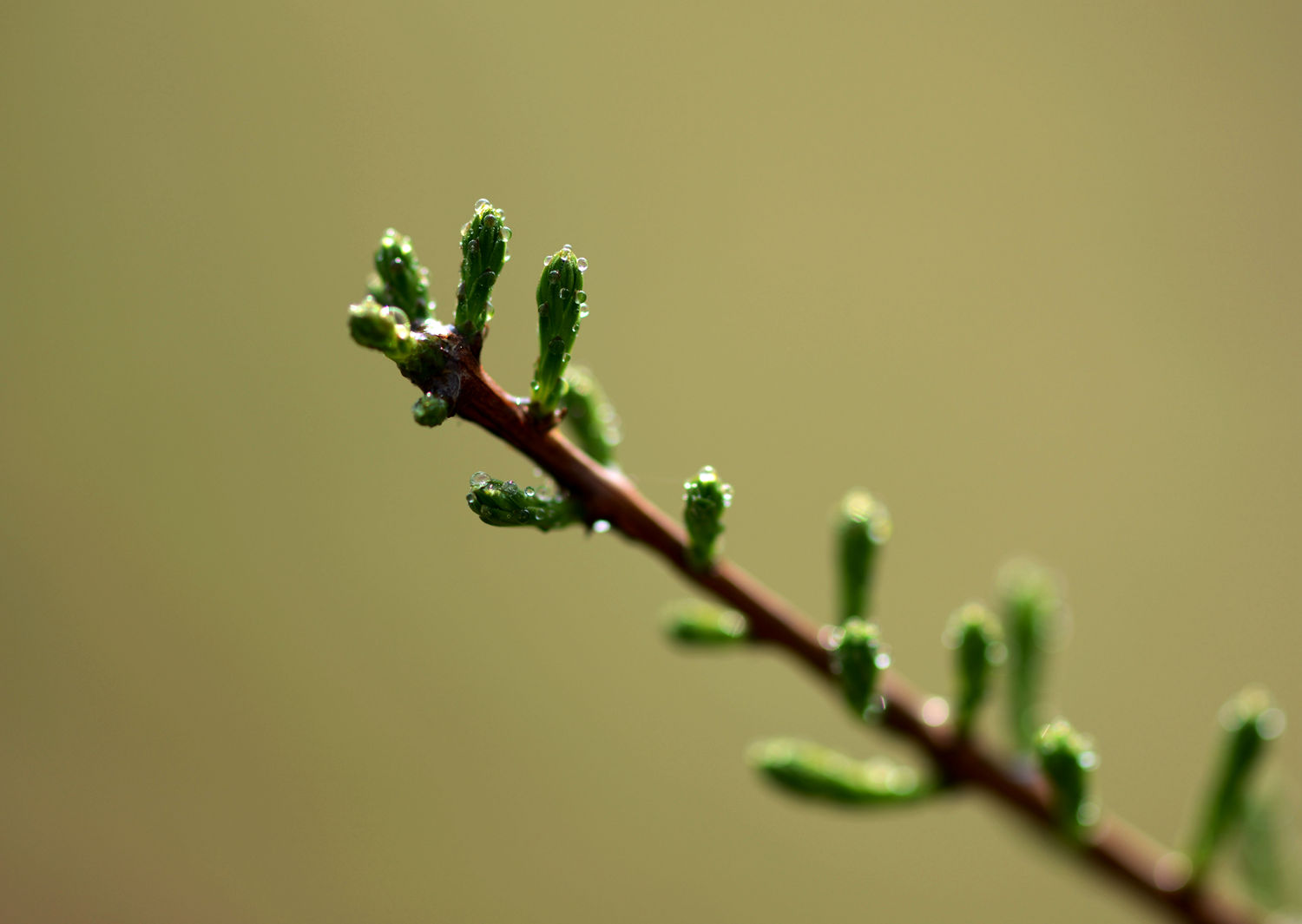DSC_0327.JPG