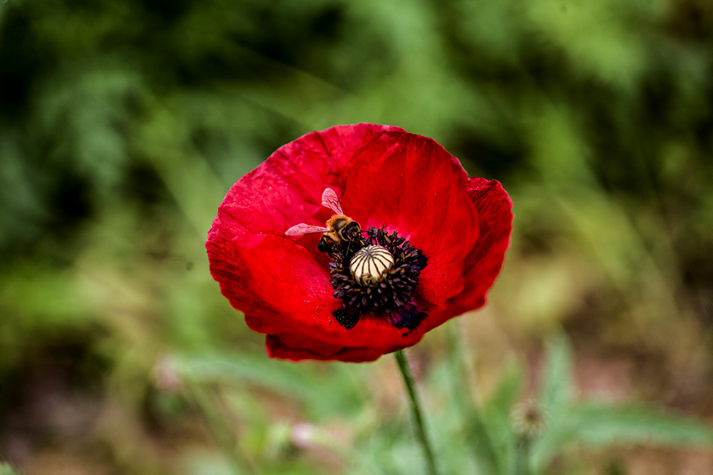 IMG_9645副本.jpg