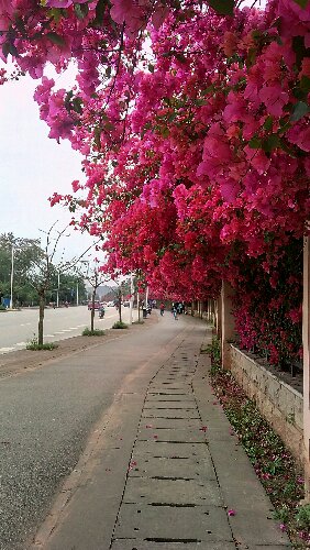 P60405-151641.jpg