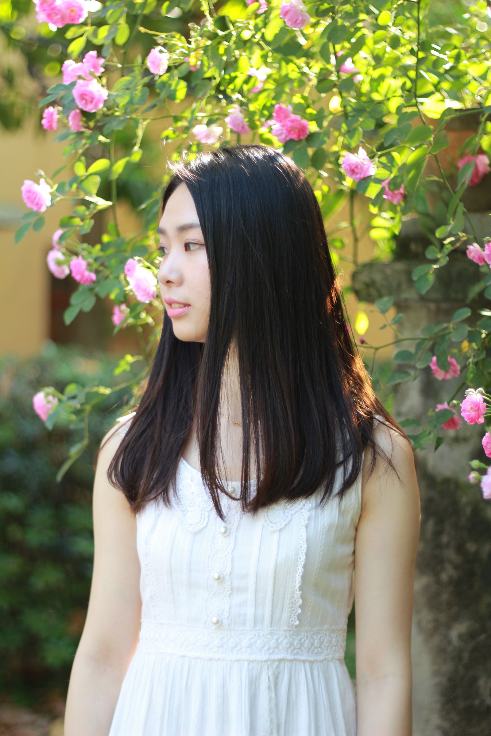 照片 2367_副本.jpg