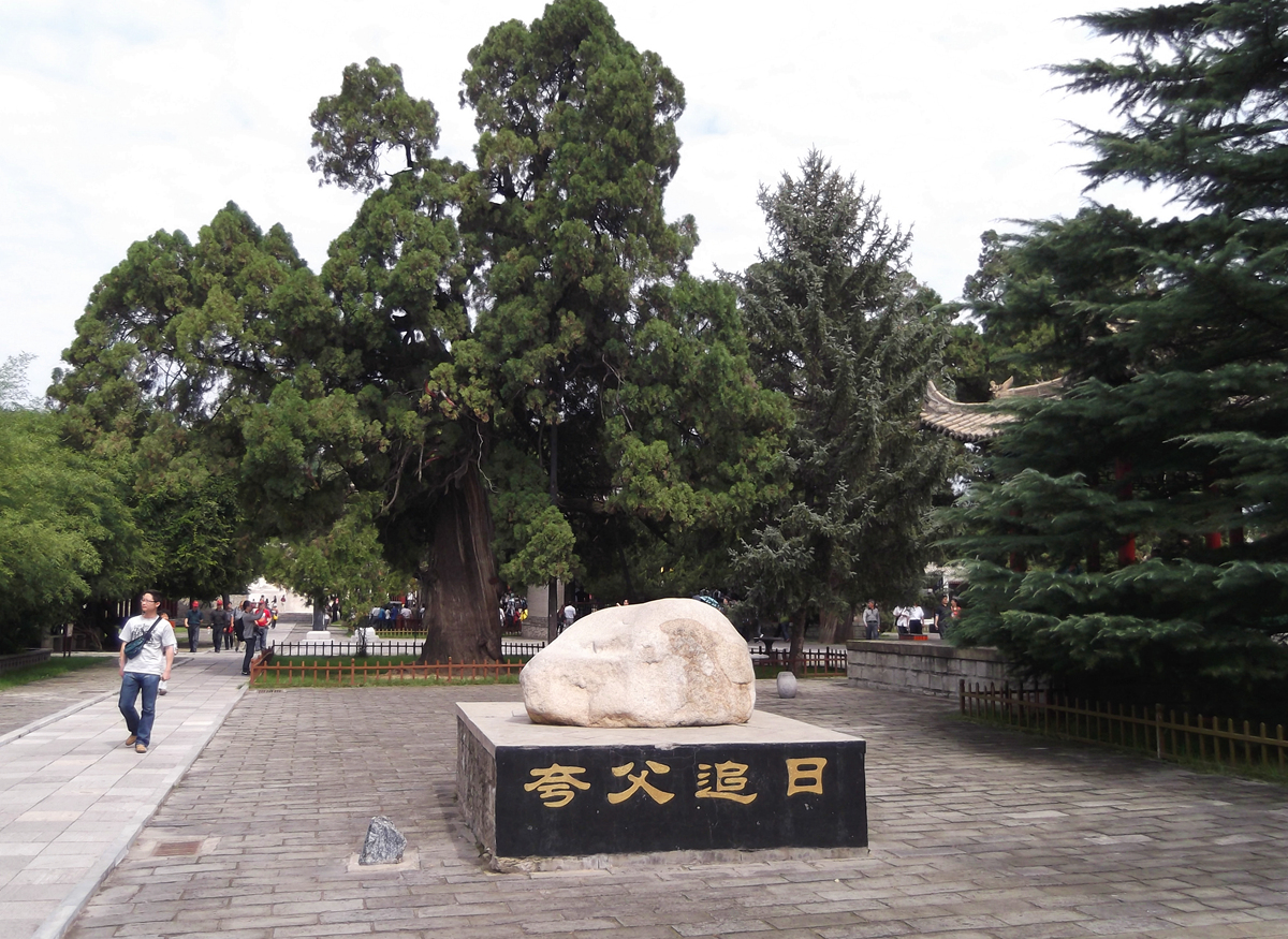 DSCF1017.JPG