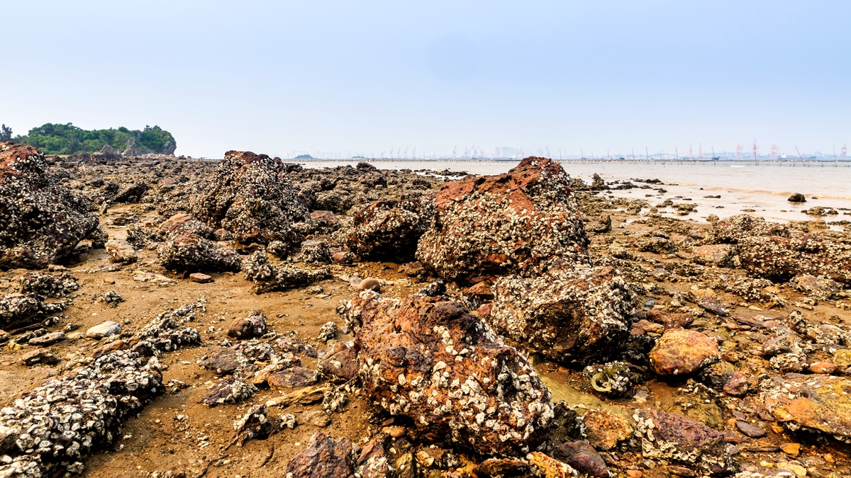 火山岛-10.jpg