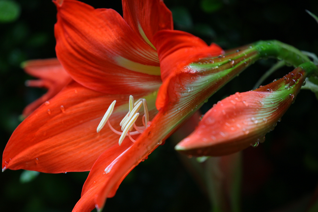 IMG_2122_副本.jpg