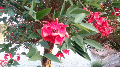 IMG_20160425_181809_副本.jpg