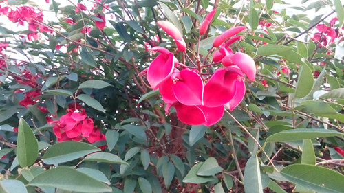 IMG_20160425_181815_副本.jpg