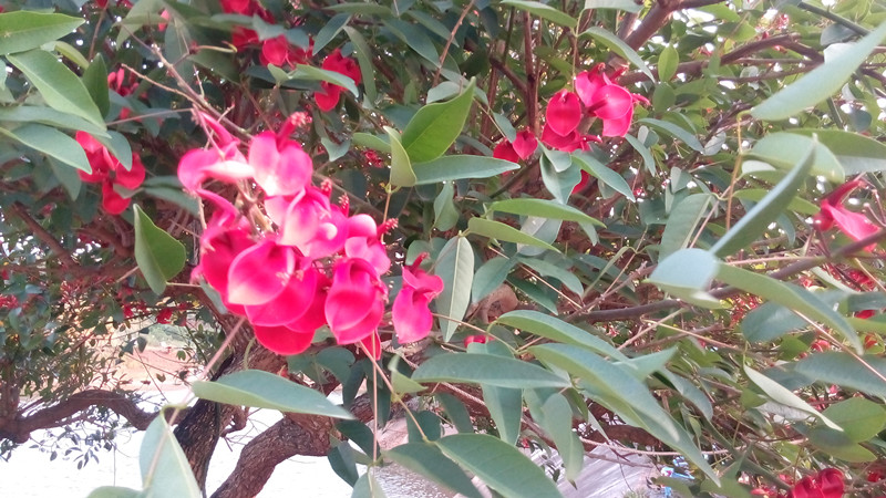 IMG_20160425_181836_副本.jpg