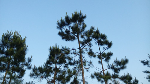 IMG_20160425_182617_副本.jpg