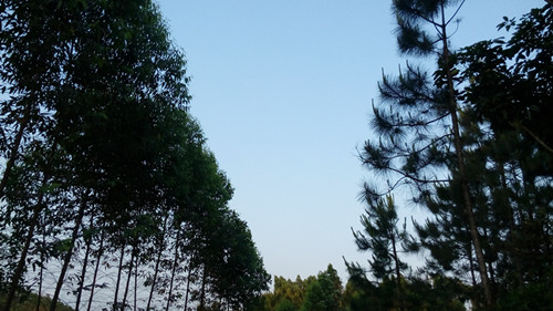 IMG_20160425_182810_副本.jpg