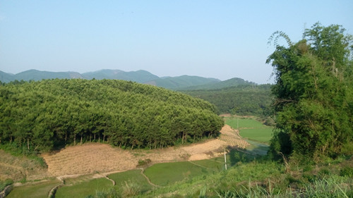 IMG_20160426_173215_副本.jpg